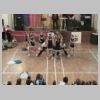 Kinder- und Jugendtanzschau